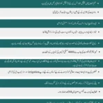 KPK Annual Performance Report