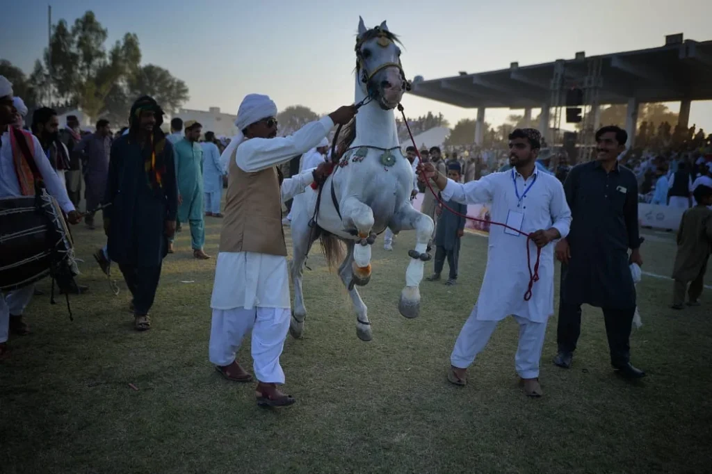 Dera Jaat 2025 Festival